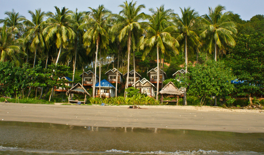 Дома среди пальм на острове Тао, Таиланд