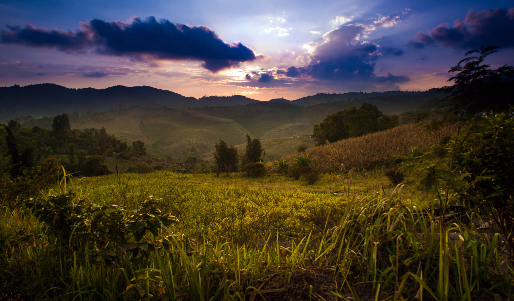 Недалеко от деревни Мае Салонг в Таиланде