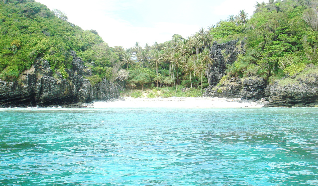 Пальмы на берегу в Пхукете, Таиланд