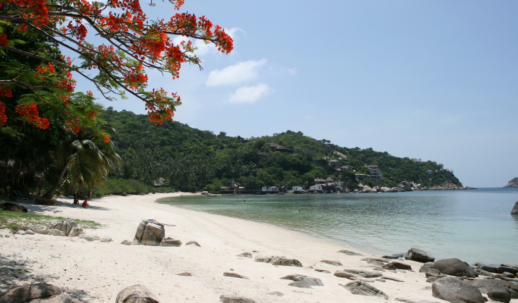 Песчаный пляж на острове Тао, Таиланд