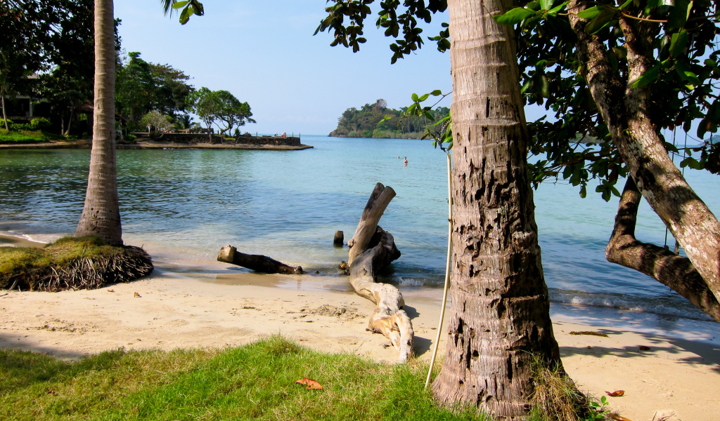 Деревья на пляже на курорте Районг, Таиланд