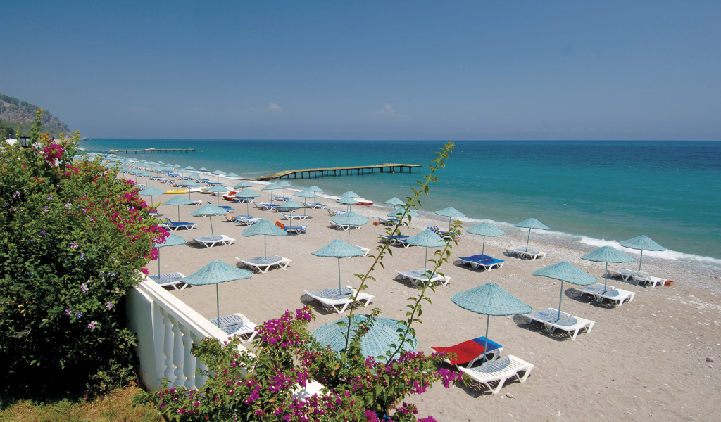 Цветущий пляж в Кушадасы, Турция