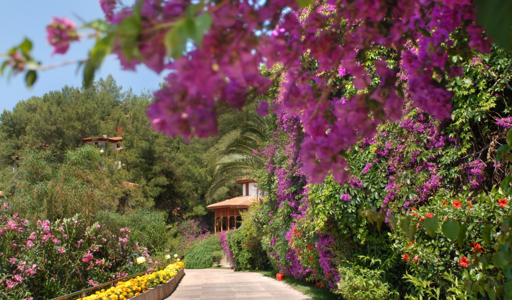 На курорте Фетхие, Турция