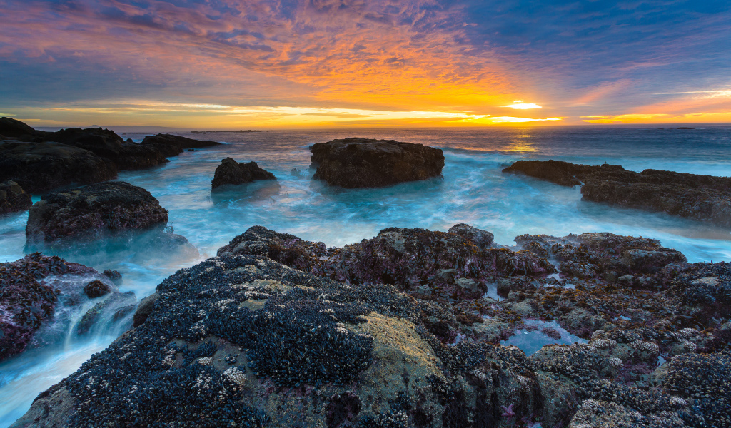 Красивая природа в Орегоне,США