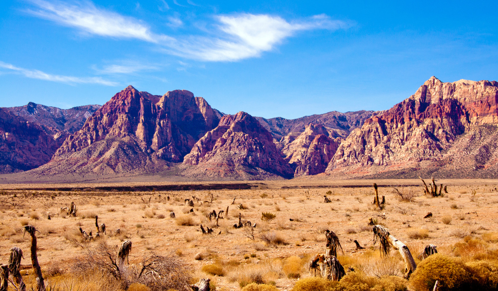 Desert in Nevada USA
