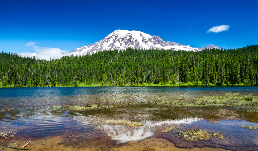 Национальный парк Маунт-Рейнир недалеко от Сиэтла, США