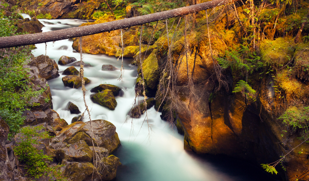 Река Северная Ампкуа, Орегон, США