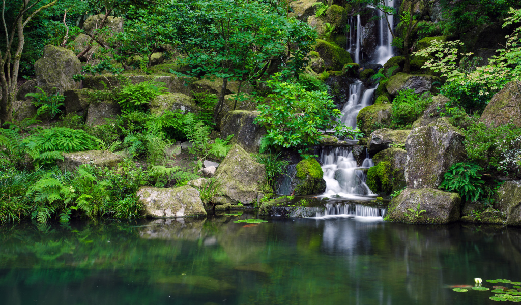 Портленд Джапанес Гарденс, Орегон, США