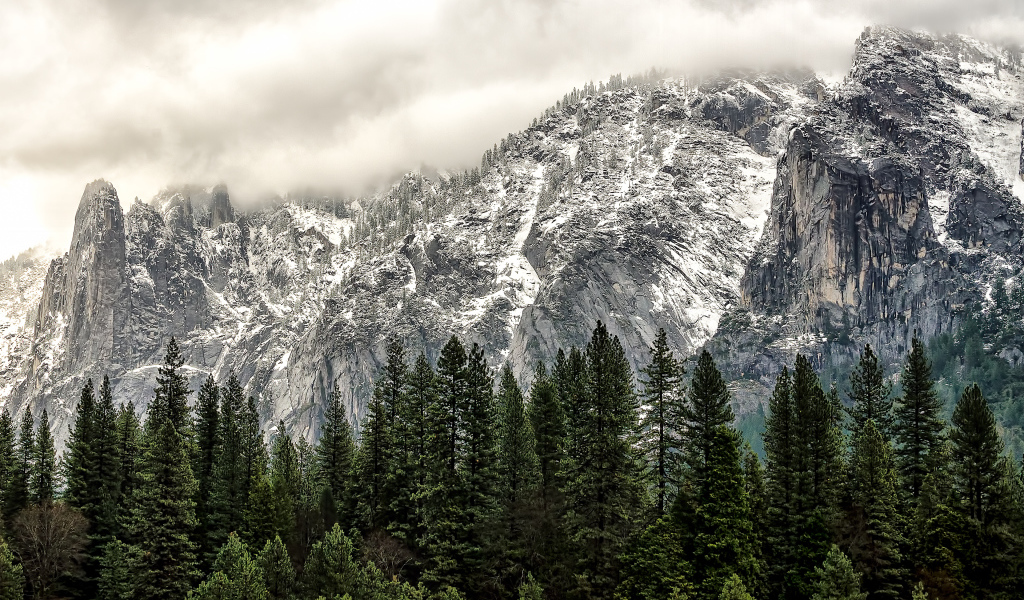 Национальный парк Йосемити, Калифорния, США