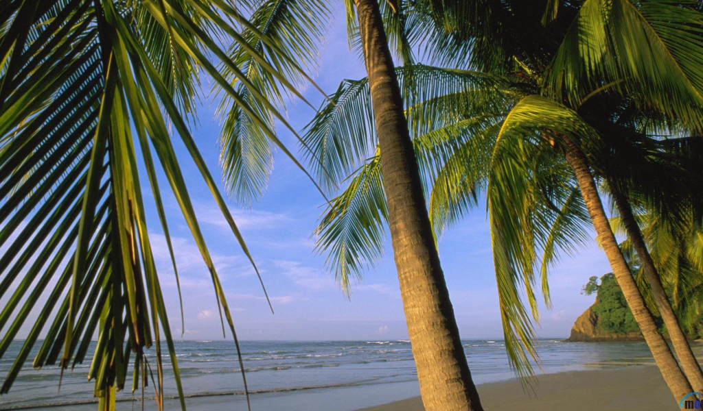 Потрясающая Погода Коста-Рика