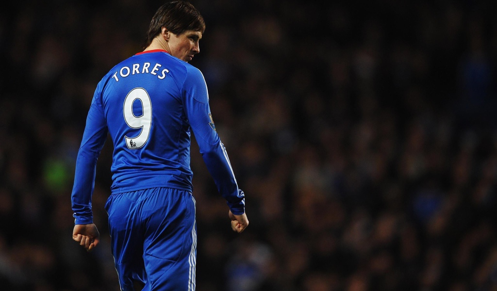 Спина Фернандо Торреса