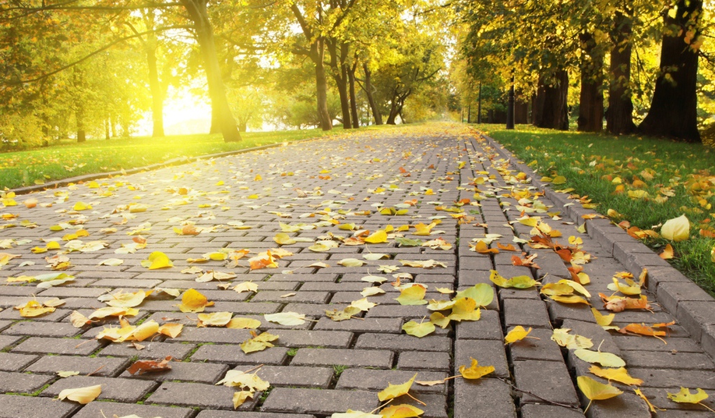 Красивая осень в Киеве