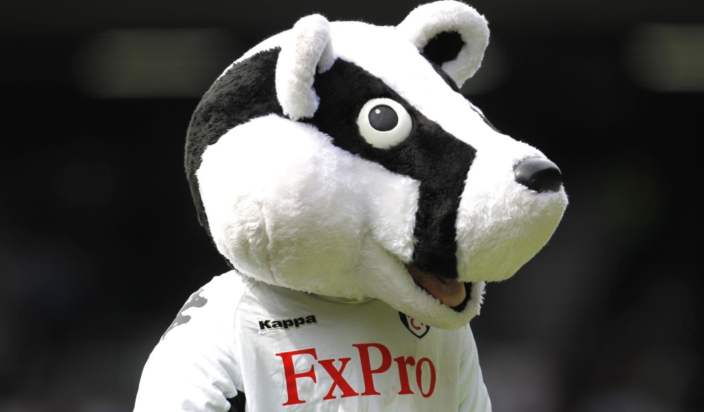 Лучший Футбольный клуб Фулхэм