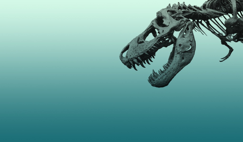 Череп динозавра