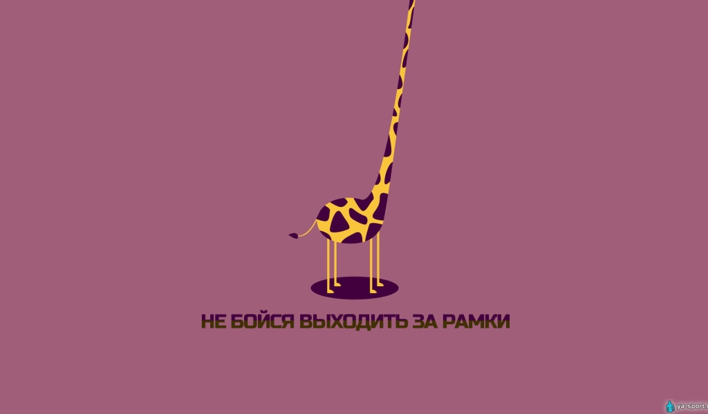 Не бойся выходить за рамки