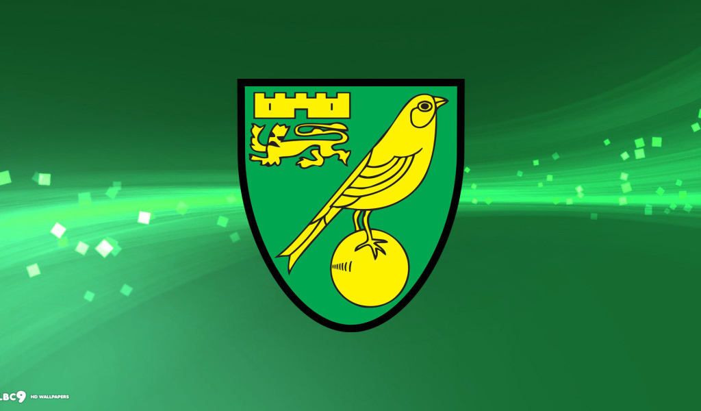 Известный Футбольный клуб Норвич