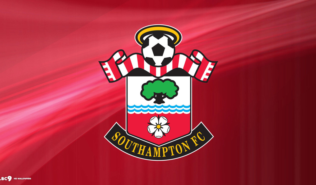 Знаменитый Футбольный клуб Саутгемптон