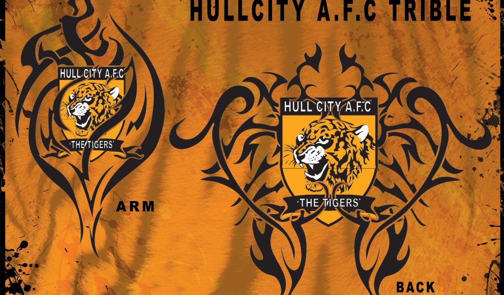 ФК Халл Сити