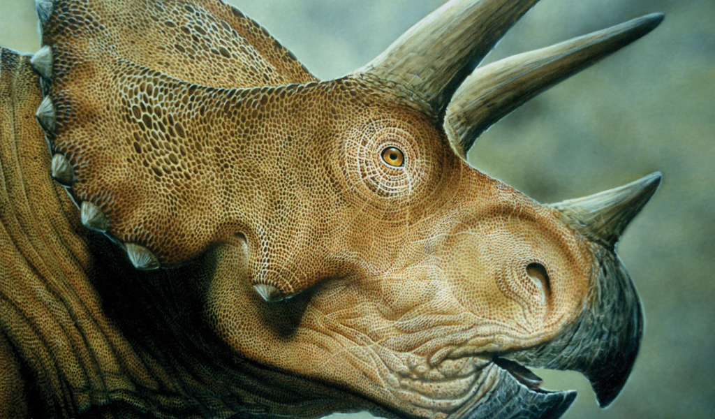 Рогатый динозавр