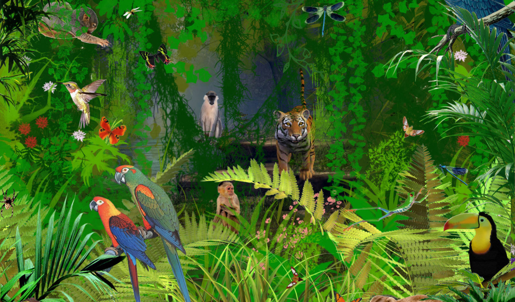 Джунгли животных в Коста-Рике