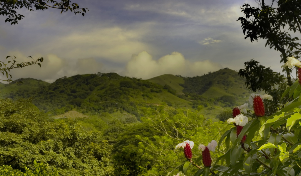 Пейзаж на Коста-Рика