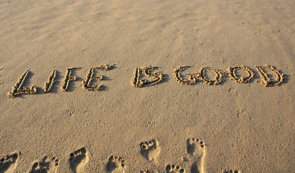 Жизнь хорошая штука