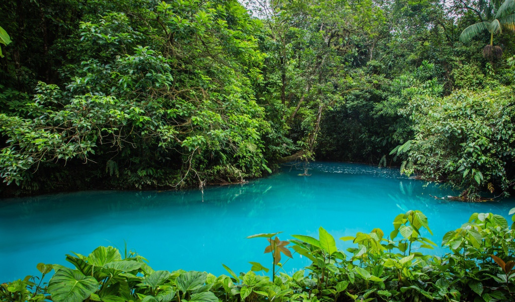 Национальный парк в Коста-Рика