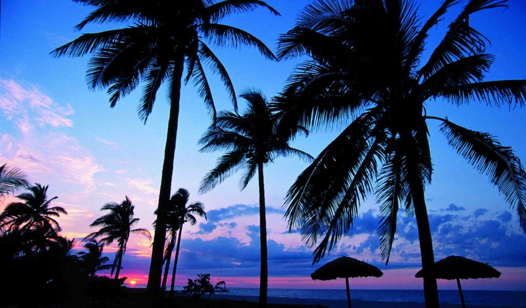 Пальмы на фоне заката на курорте Гуардалавака, Куба