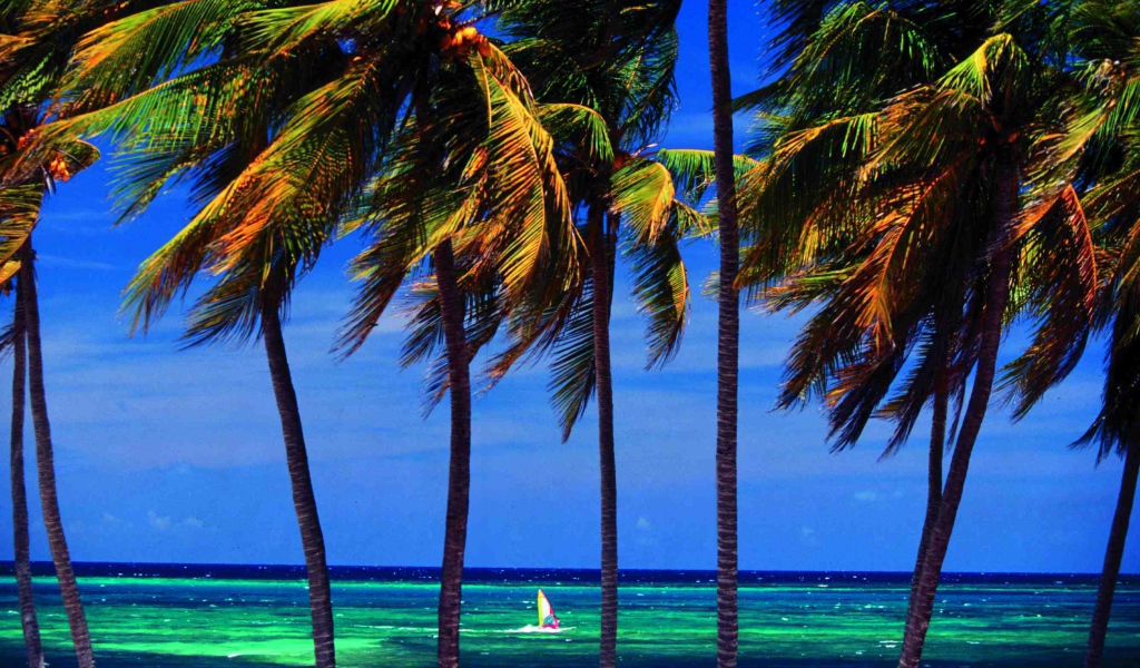 Пальмы на фоне моря на курорте Гуардалавака, Куба