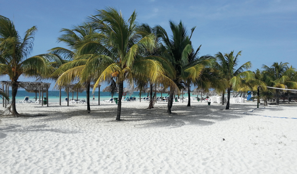 Пальмы на пляже на курорте Кайо Коко, Куба