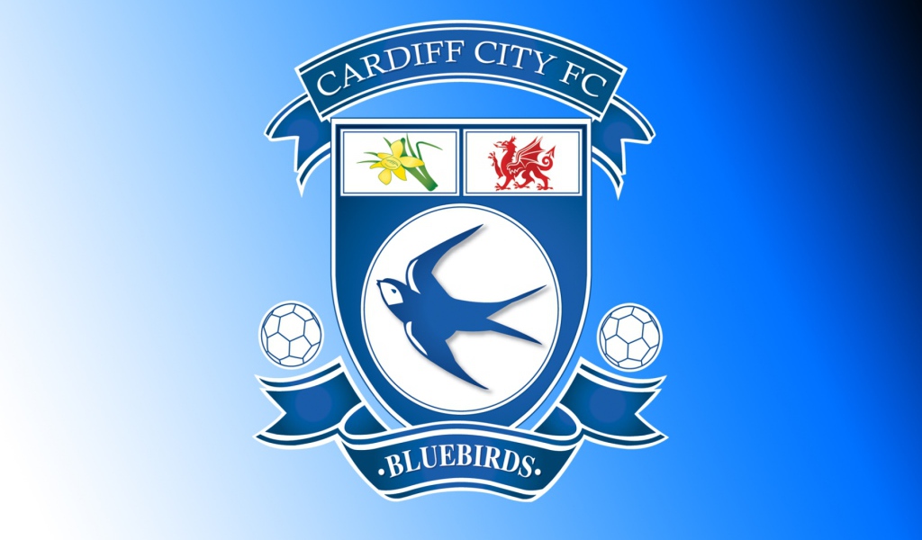 Популярный Футбольный клуб Кардифф Сити
