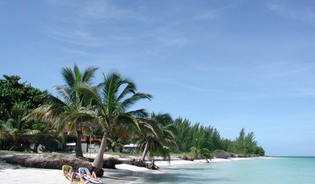 Отдых под пальмой на пляже на курорте Кайо Коко, Куба