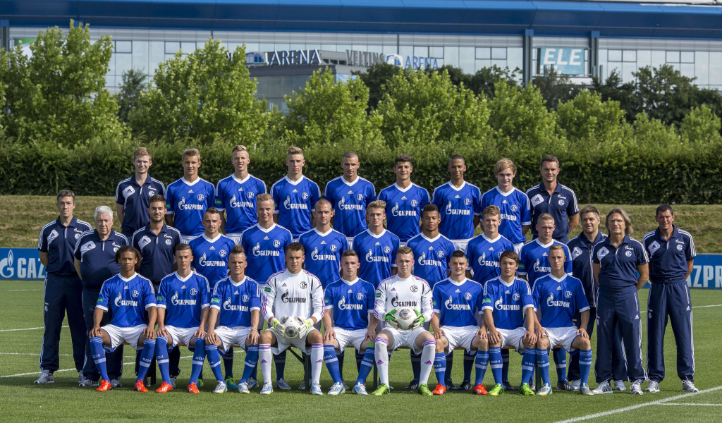 Шальке 04 2013