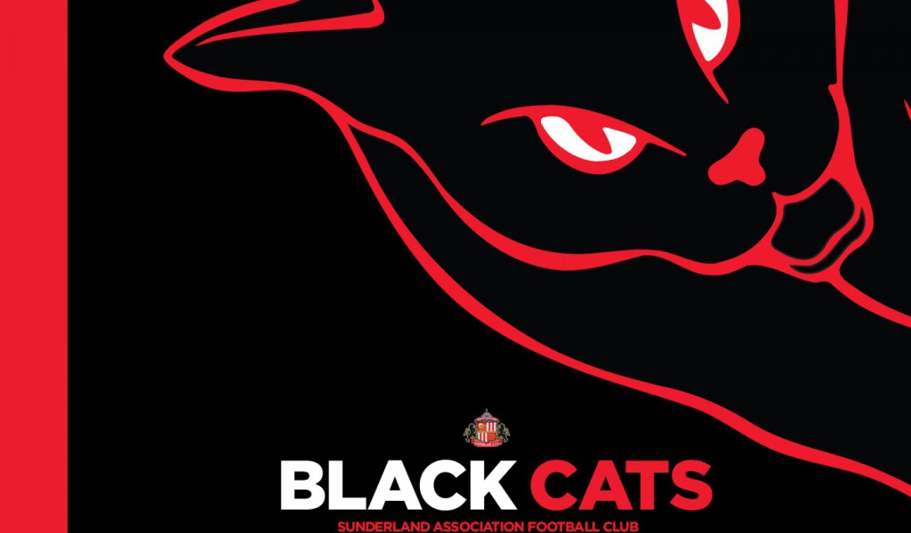 Любимая команда футбола Англии Сандерленд