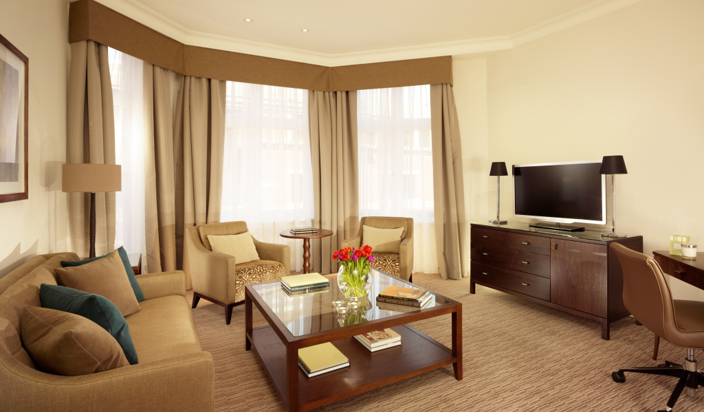 Овальная форма гостиной