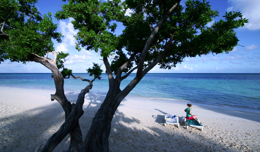 Дерево на пляже на курорте Гуардалавака, Куба