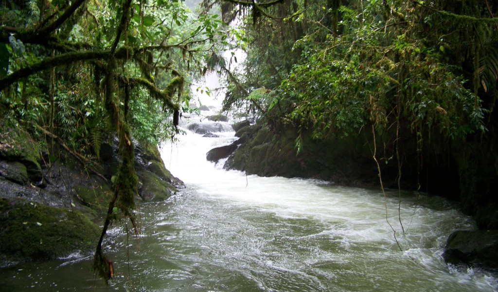 Водопад и река в Коста-Рика