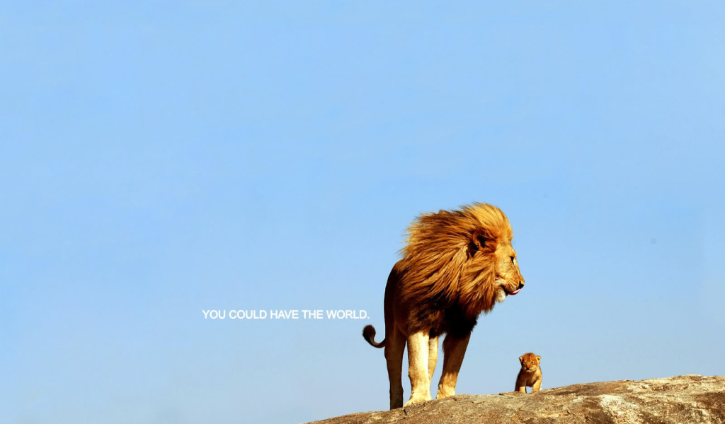 Ты можешь покорить весь мир