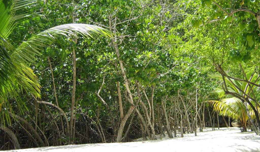 Захватывающие дух место в Гаити