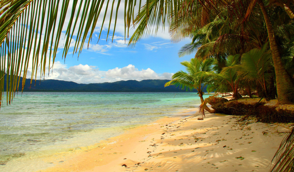 Эффектное Панама