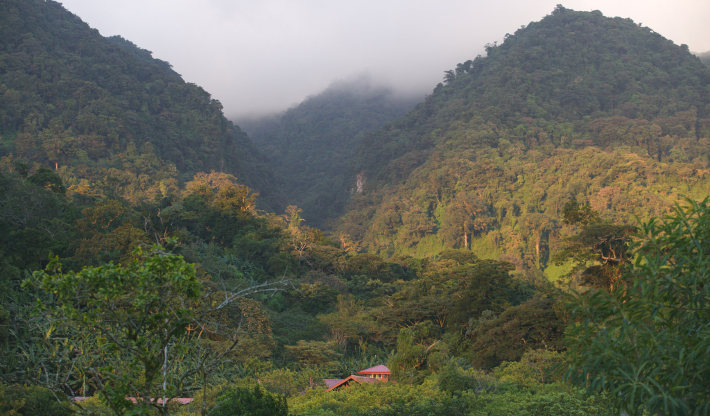 Замечательное Коста-Рика