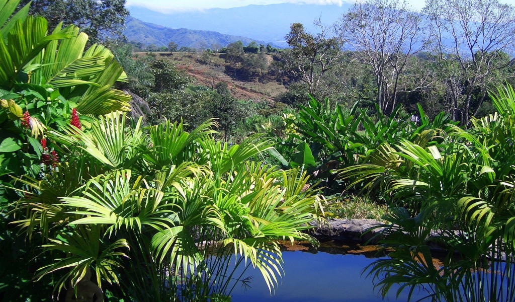 Привлекательное Коста-Рика