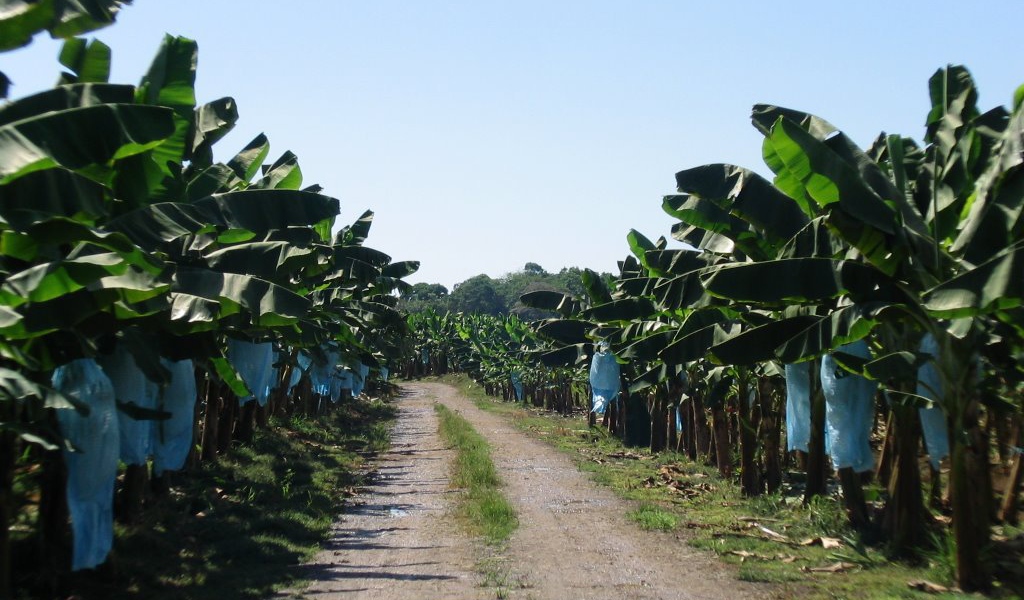 Впечатляющие Коста-Рика