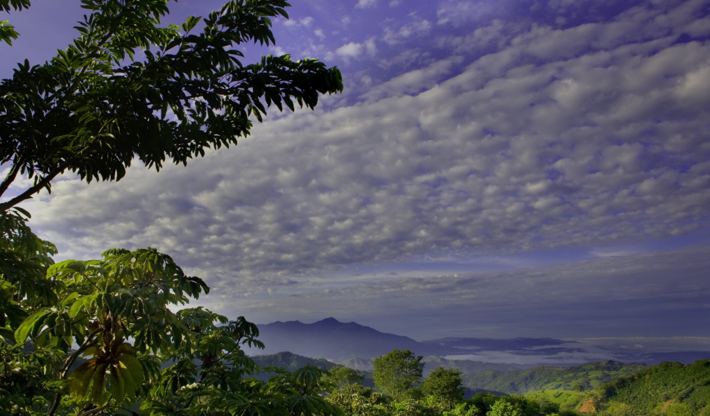 Великолепная страна Коста-Рика