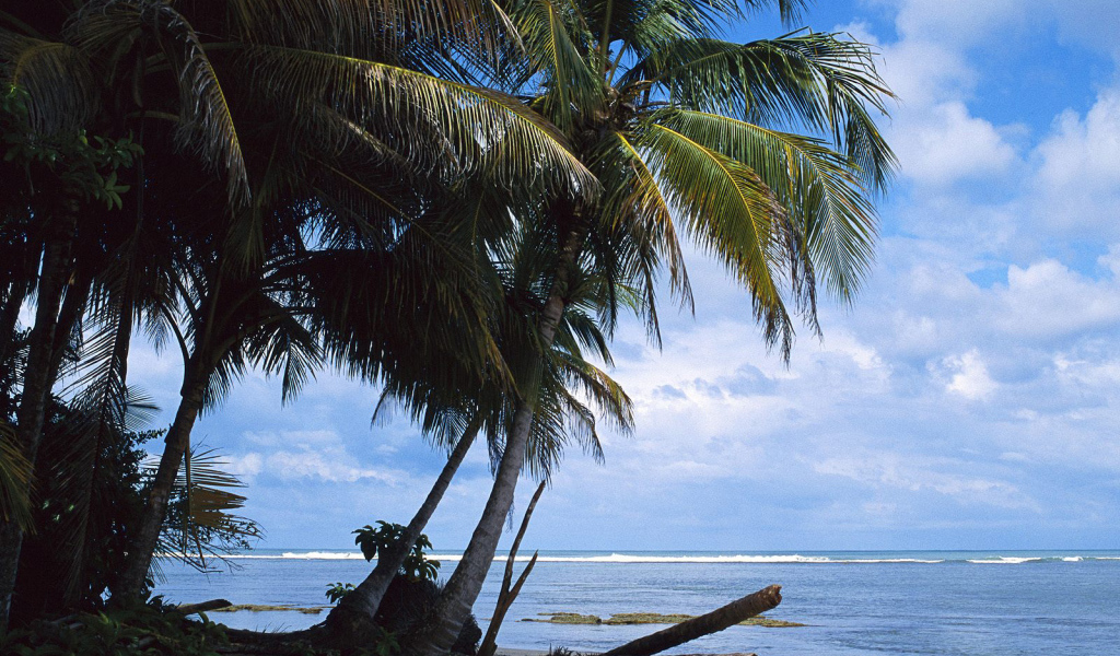 Невероятная страна Коста-Рика