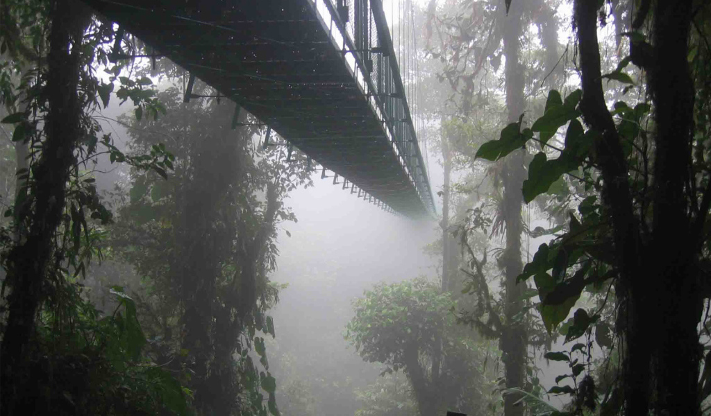 Удивительное место в Коста-Рика