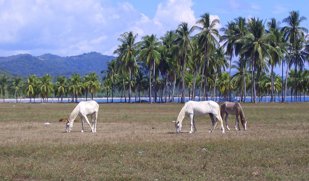 Популярное место в Коста-Рика