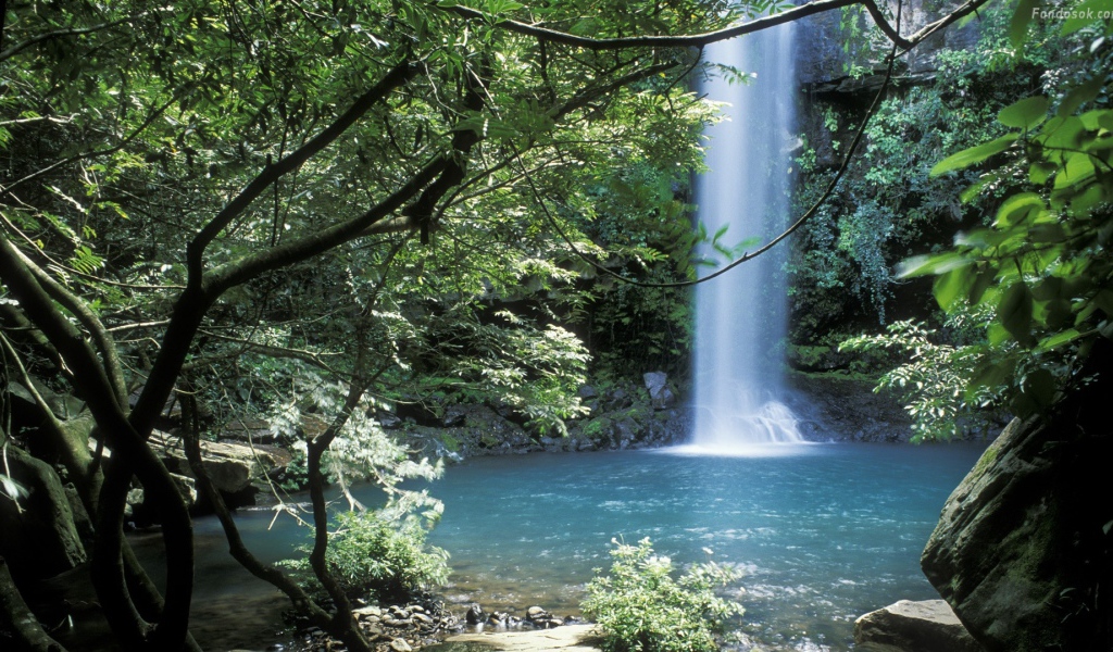 Невероятное место в Коста-Рика 