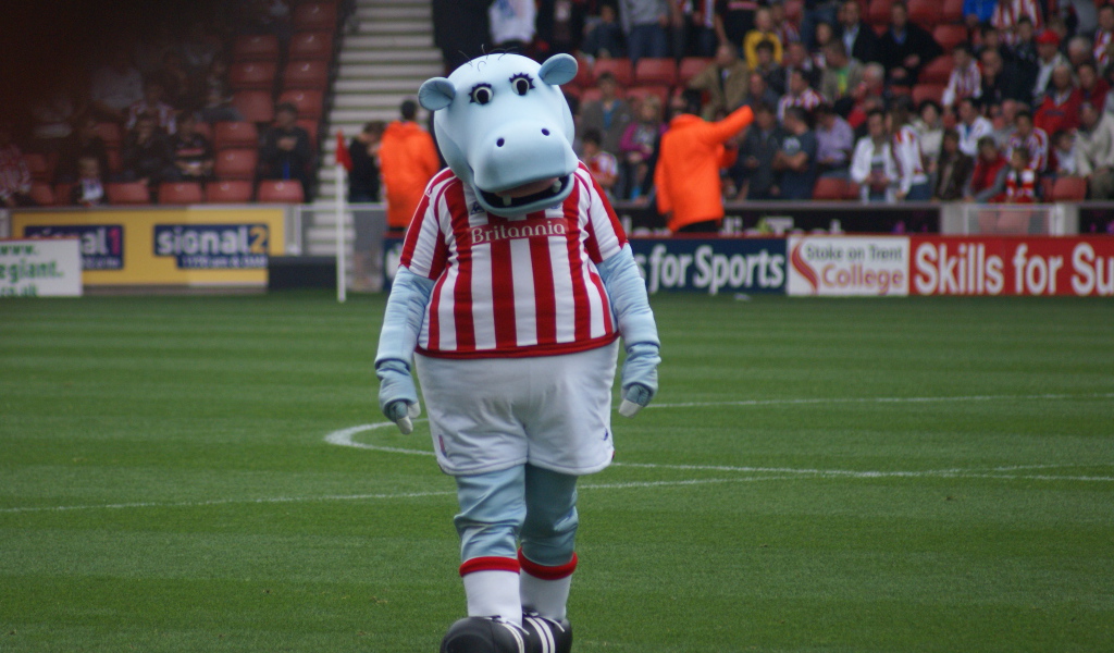 Известный ФК Сток Сити