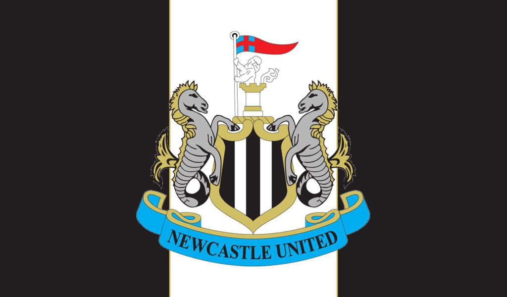 Известный футбольный клуб Англии Ньюкасл Юнайтед